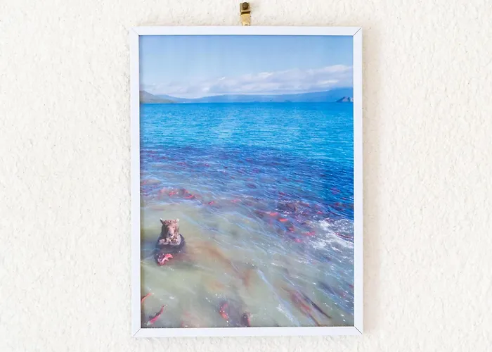 Les Mimosas - 07 Apartment